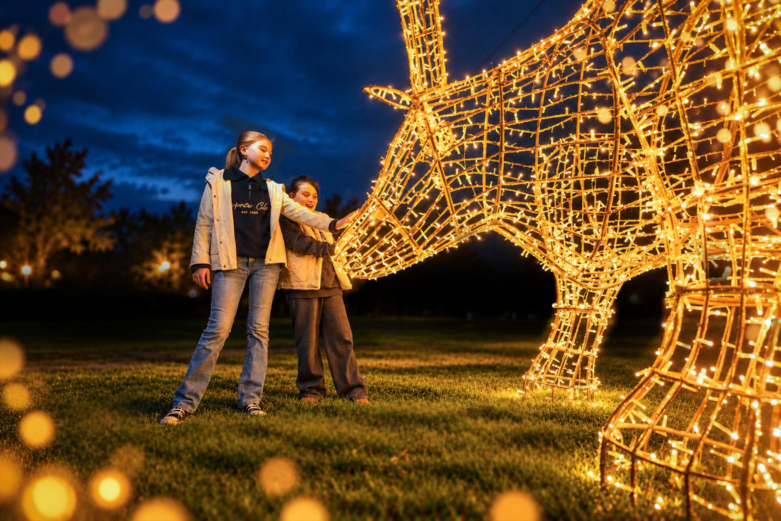 Adventure Lights at Skypark Carlingford